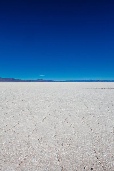 Salinen von Salinas Grandes in Salta, Nordargentinien, Südamerika von WorldWidePhotoWeb
