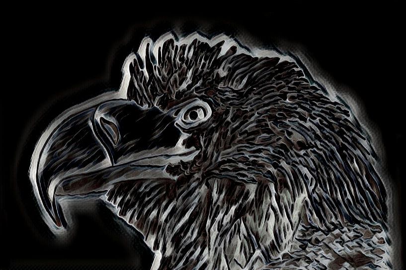 Arend  tekening. van Jose Lok