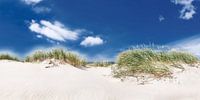 Panorama-duinlandschap aan het strand van de Oostzee van Voss fotografie thumbnail