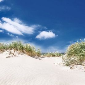 Ostsee Dünen Strand von Voss Fine Art Fotografie