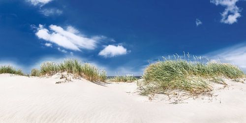 Panorama-duinlandschap aan het strand van de Oostzee