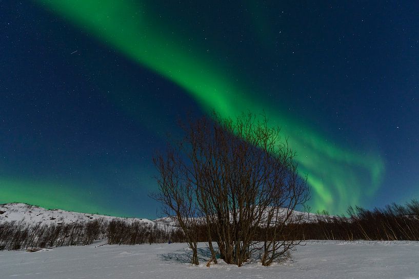 Poollicht of Noorderlicht in de nacht boven Noord-Noorwegen van Sjoerd van der Wal Fotografie