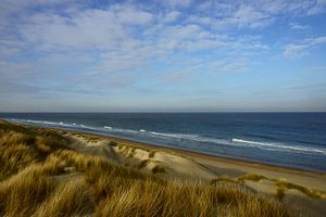 Zee en Duinen