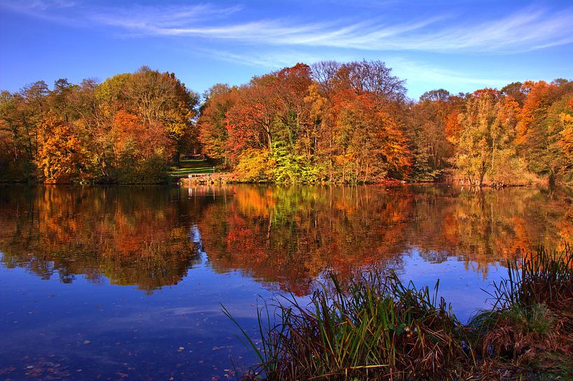 étang de forêt de ville par Edgar Schermaul