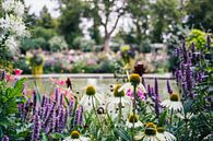 Sommerblumengarten von Patrycja Polechonska Miniaturansicht
