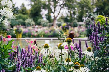 Jardin de fleurs d'été sur Patrycja Polechonska