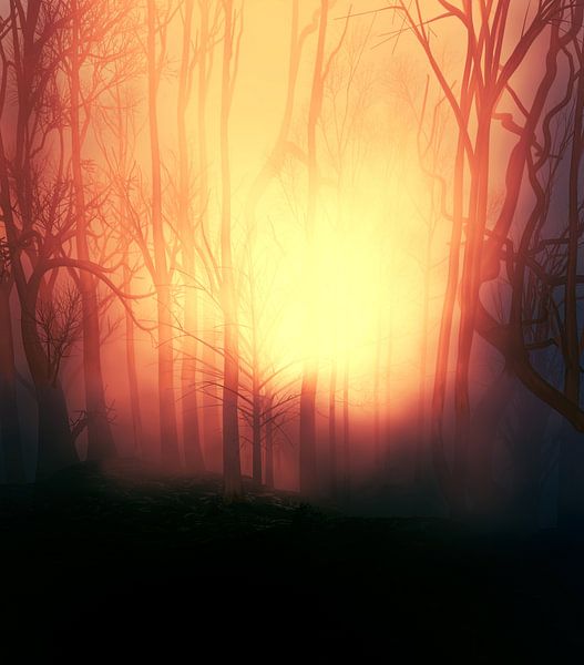 The setting sun by Angel Estevez