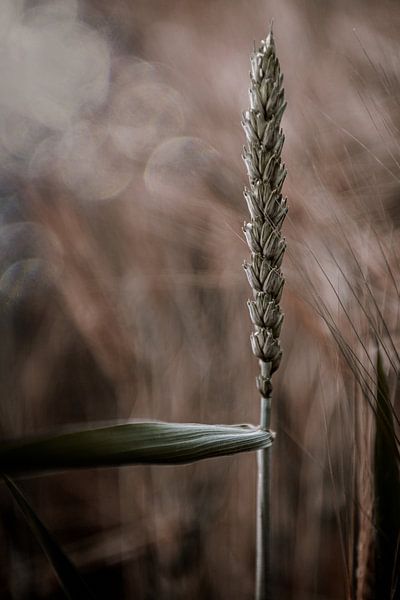 En position verticale par ThograPictures