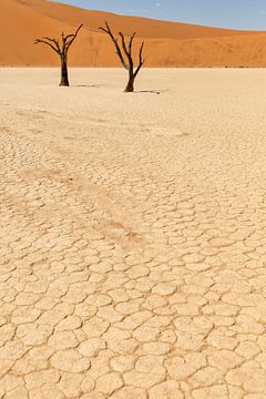 Dodevlei (Deadvlei) in Namibia, Africa by Simone Janssen