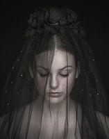 Dark Rose