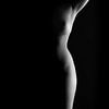 Bodylines II van Leo van Valkenburg