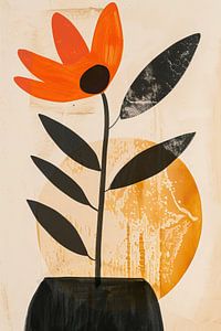 Plante moderne