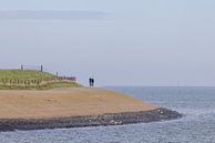 Fietsers op Waddeneiland Texel van Rob IJsselstein thumbnail