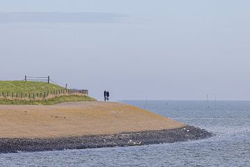 Fietsers op Waddeneiland Texel van Rob IJsselstein