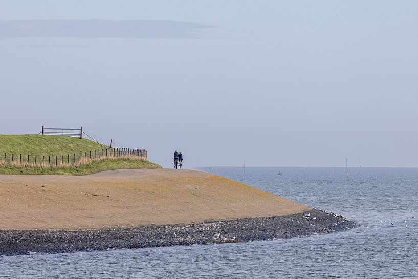 Fietsers op Waddeneiland Texel van Rob IJsselstein