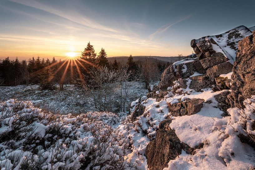 Winterkleid auf dem Sonnenberg von Steffen Henze