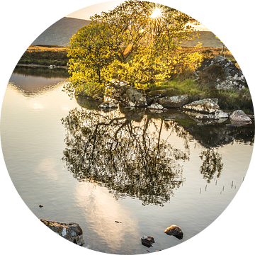 Avondlicht bij Lochan na h-Achlaise, Rannoch Moor