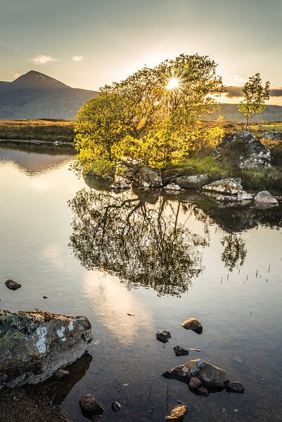 Evening light at Lochan na h-Achlaise, Rannoch Moor by Christian Müringer