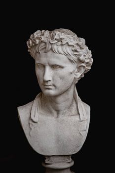 Vase with feathers in sepia