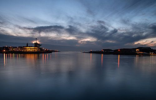 Holland Country Sheep