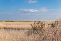 Ostfriesland - Krummhörn - Landschaft