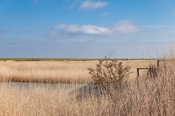 Oost-Friesland - Krummhörn - Landschap van Nicole Frischlich