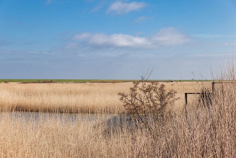 East Frisia - Krummhörn - Landscape by Nicole Frischlich