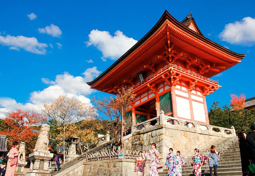 Kyoto by Hello Pompoyo