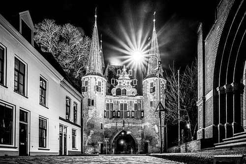 Kampen von Truus Koster