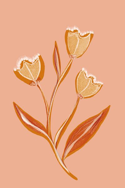 Botanical Floral II by Gemma Bardot