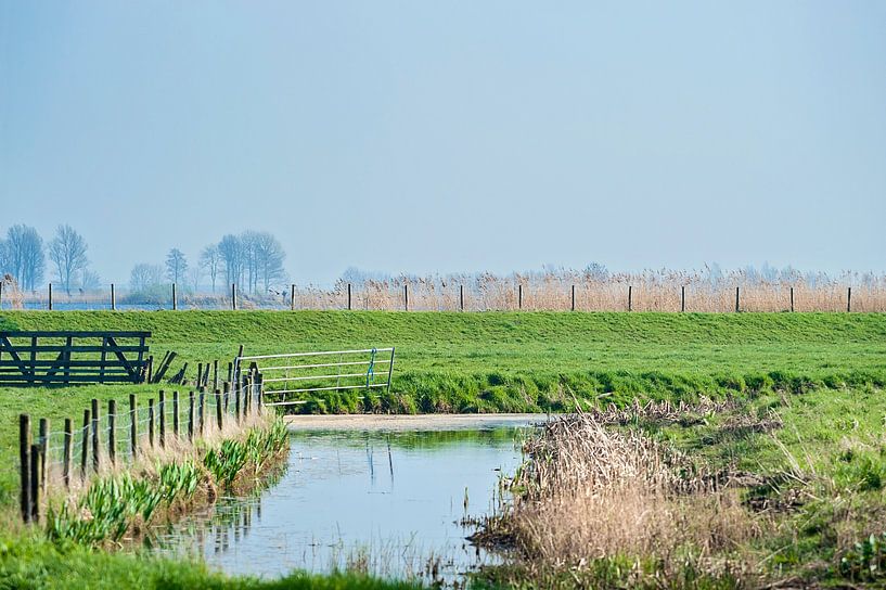 Niederlande Wasserland von Anouschka Hendriks