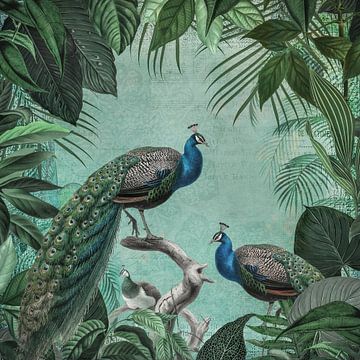 Pauw in tropisch paradijs II van Andrea Haase