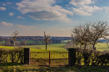 panoramic view of the Heuveland in spring in Mechelen, Limburg by Kim Willems