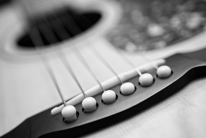 Guitar String II B&amp;W by Iris Holzer Richardson