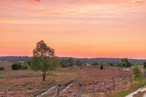 Radenbachtal im Sonnenuntergang