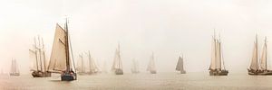 Boote der Braunen Flotte im Nebel bei Enkhuizen