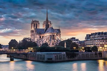 Notre-Dame de Paris van Manjik Pictures
