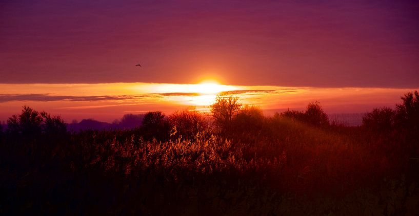 Zonsondergang op de Beningerslikken par Sven Zoeteman