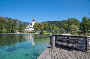 Bohinjsee in Slowenien