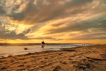 Paard en ruiter op strand bij zonsondergang van eric van der eijk