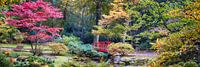 Japanischer Park, Den Haag von Ariadna de Raadt-Goldberg Miniaturansicht