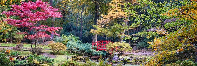 Japanischer Park, Den Haag von Ariadna de Raadt-Goldberg