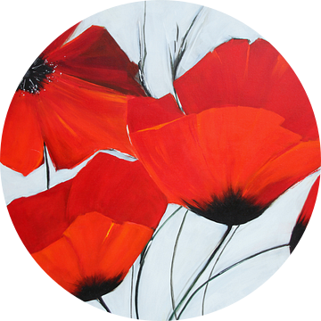 Favoriete bloem: rode klaproos van Claudia Neubauer