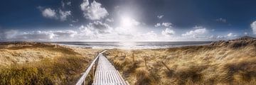 Houten pad naar het strand in de duinen van Sylt. van Voss Fine Art Fotografie