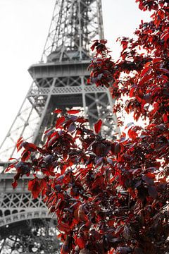 Duotone Eiffeltoren in rood van Dennis van de Water