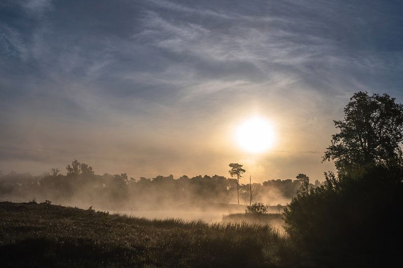 Hatertse en Overasseltse vennen part 18 by Tania Perneel