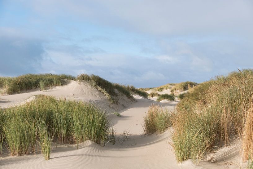 texel duinen von Nienke Stegeman