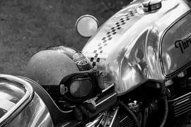 Triumph by Wim Jakobs