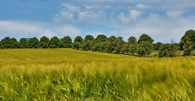 Panorama van graanvelden van Edgar Schermaul