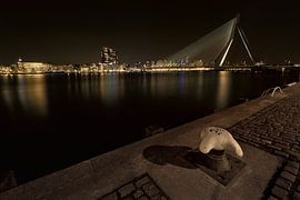Erasmus Bridge in Rotterdam seen from the quay by Jeroen Stel
